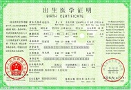 Obtain Birth Certificate in China